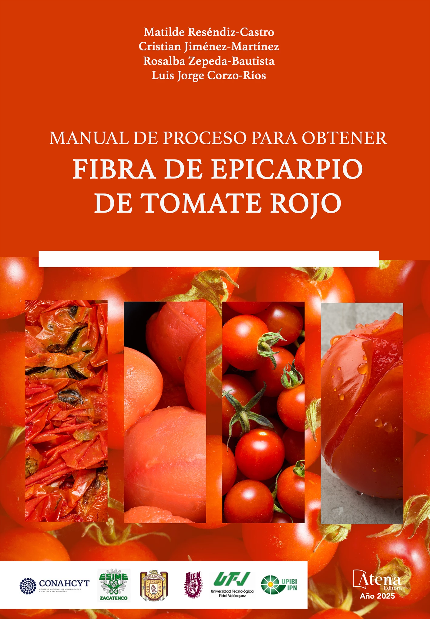 capa do ebook Manual de proceso para obtener fibra de epicarpio de tomate rojo