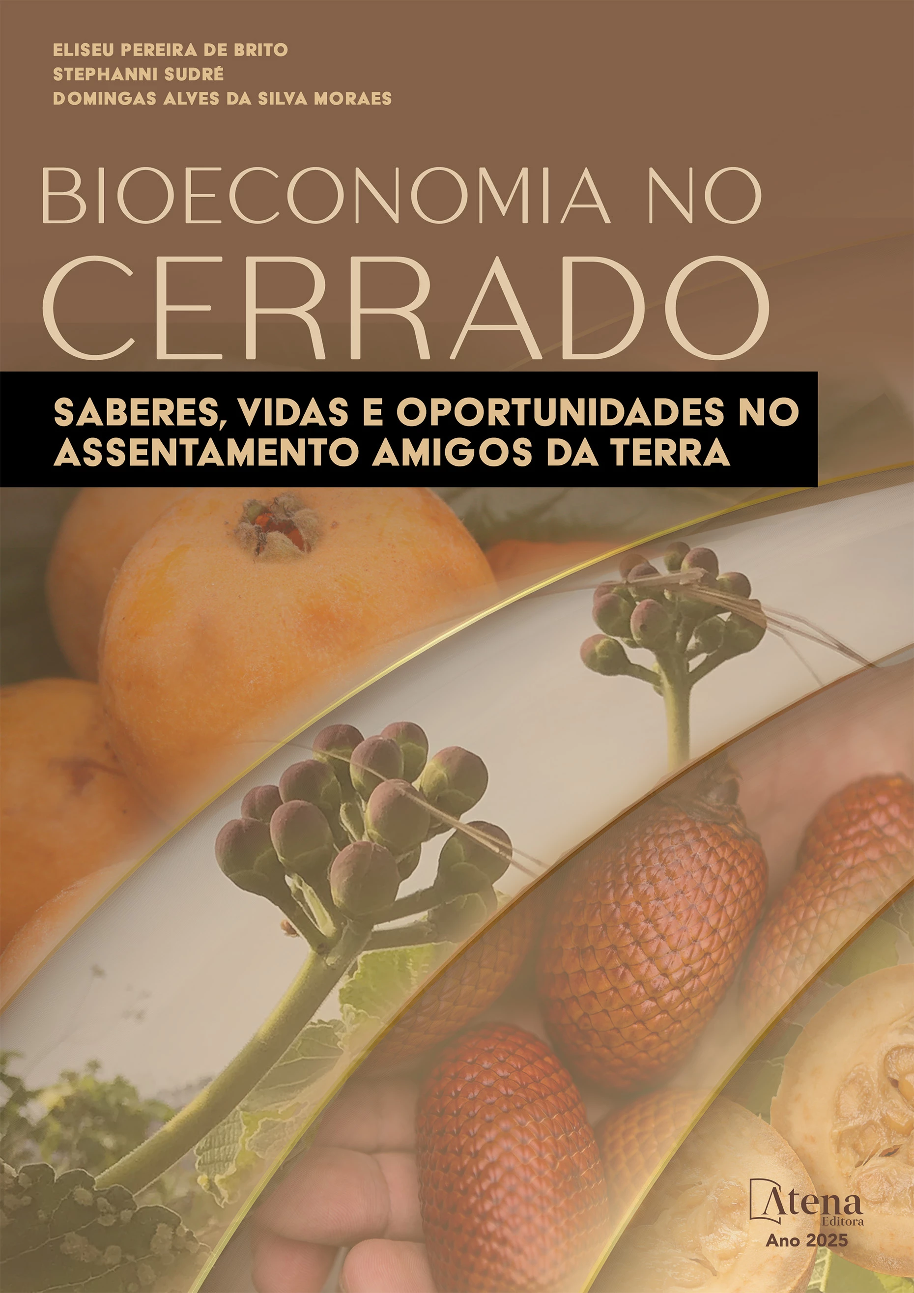 capa do ebook Bioeconomia no cerrado: saberes, vidas e oportunidades no assentamento amigos da terra