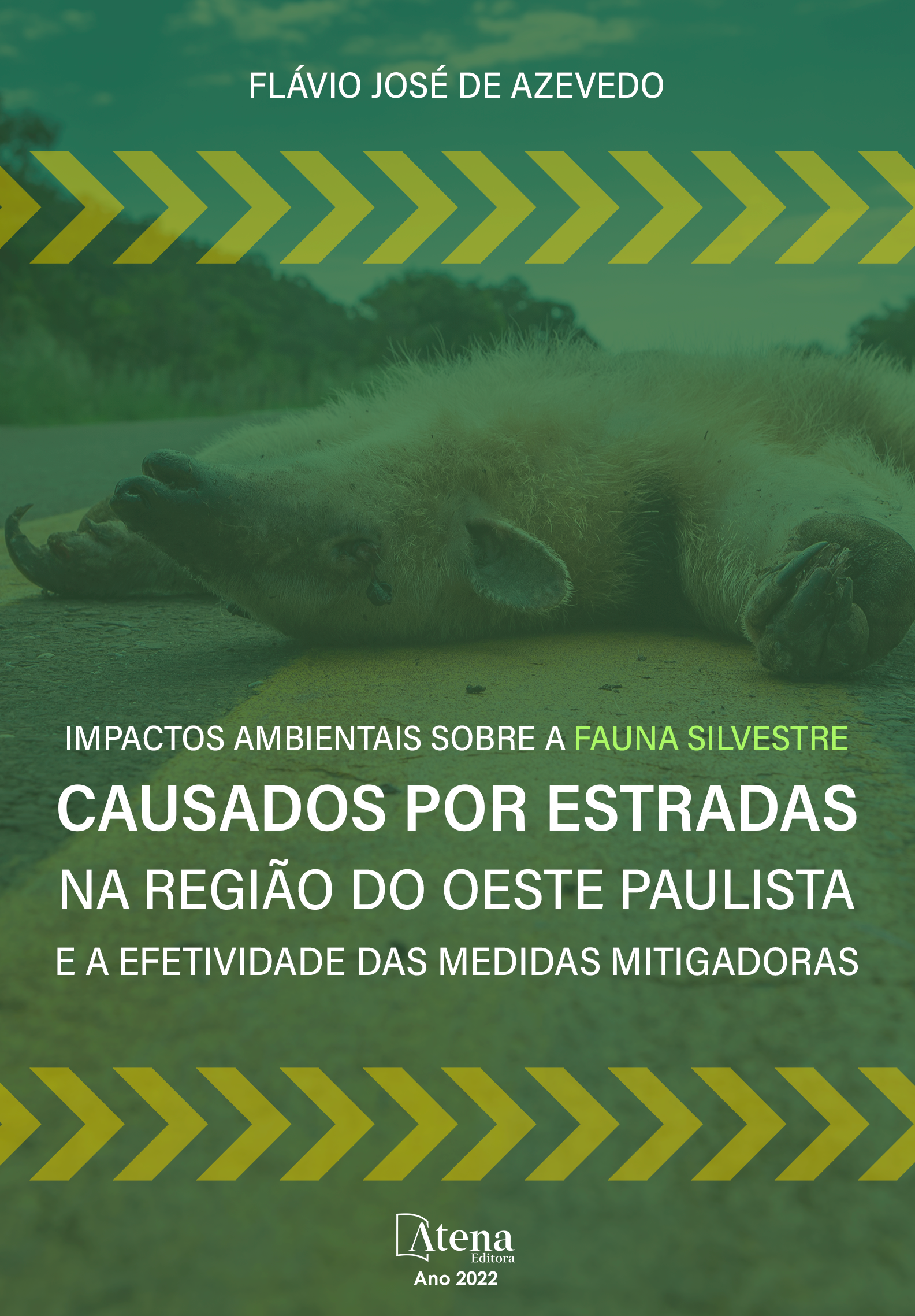 Impactos ambientais sobre a fauna silvestre causados por estradas na região do oeste paulista e a efetividade das medidas mitigadoras
