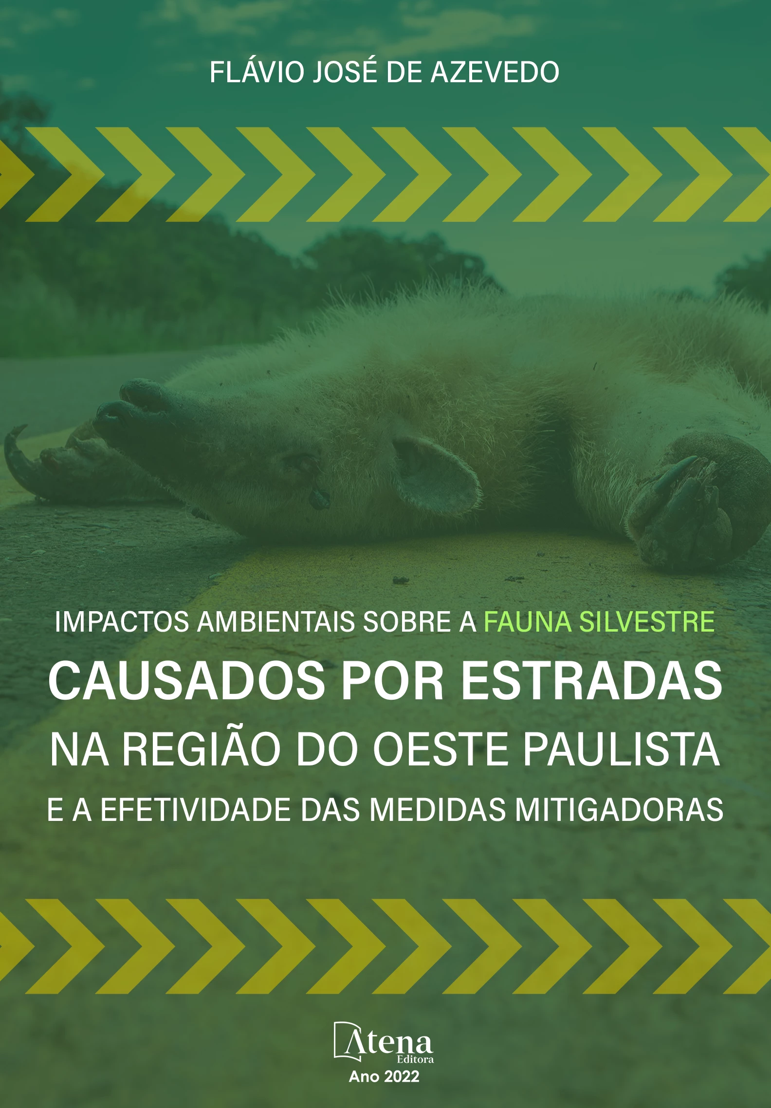 capa do ebook Impactos ambientais sobre a fauna silvestre causados por estradas na região do oeste paulista e a efetividade das medidas mitigadoras
