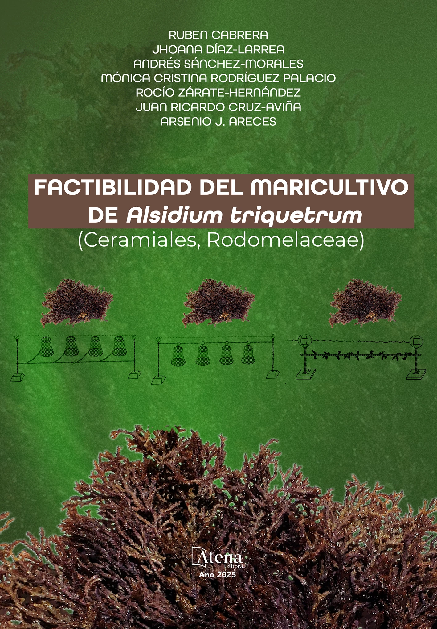 capa do ebook Factibilidad del maricultivo de Alsidium triquetrum (Ceramiales, Rodomelaceae)