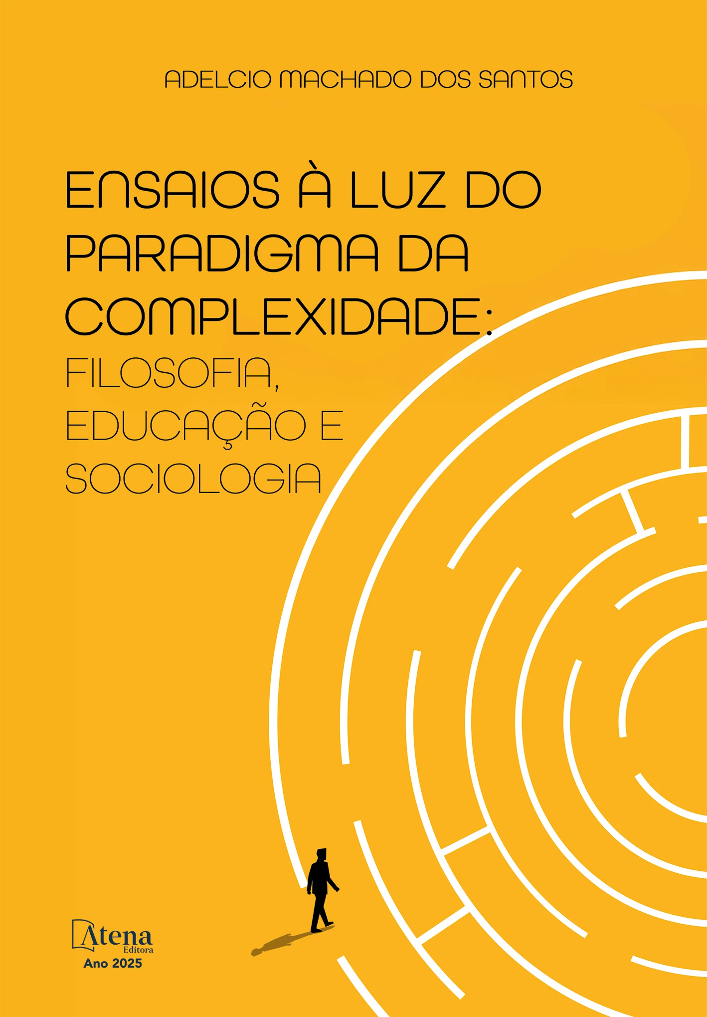 capa do ebook Estudos à luz do paradigma da complexidade – Gestão e avaliação educacional