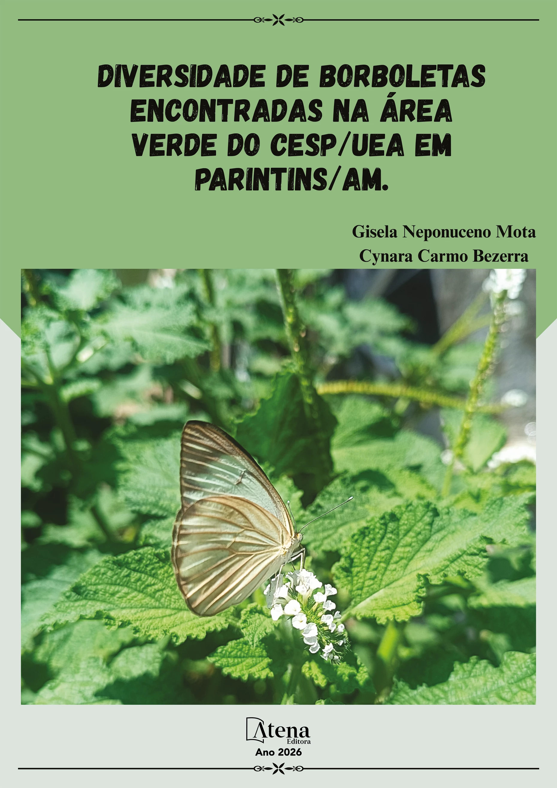 capa do ebook Diversidade de borboletas encontradas na área verde do CESP/UEA em Parintins/AM
