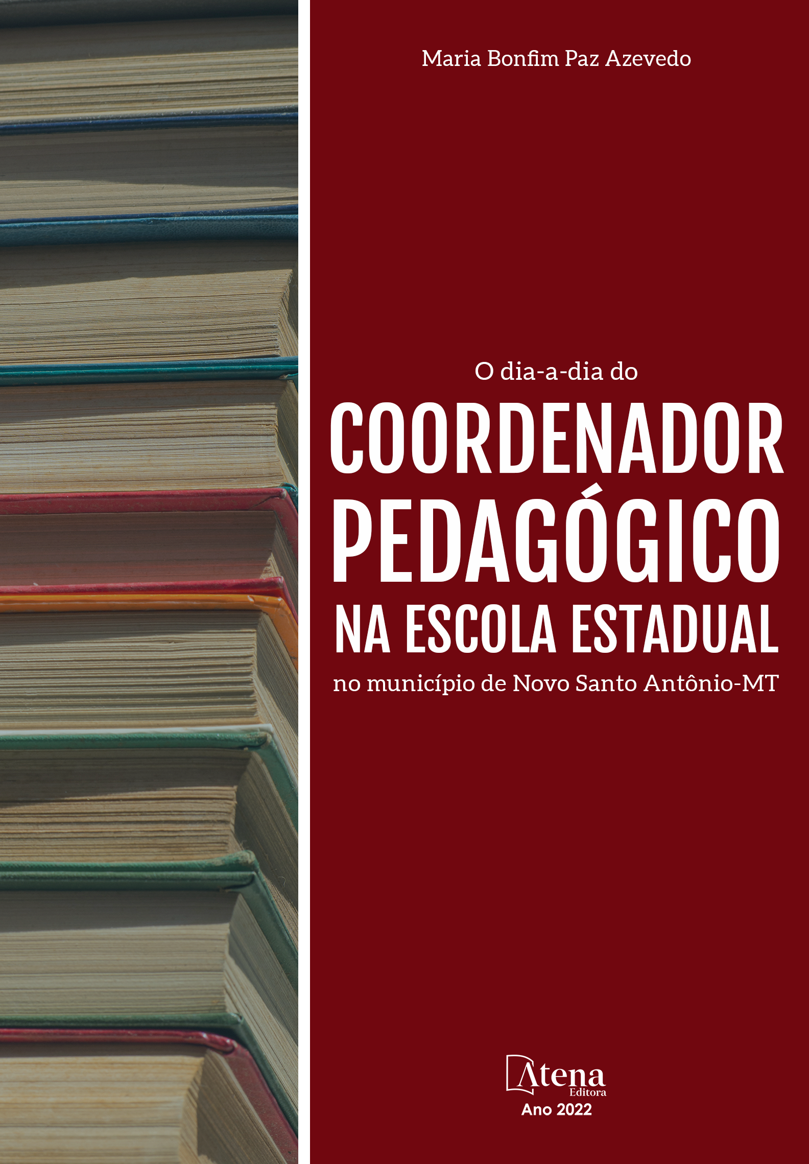 O dia-a-dia do coordenador pedagógico na Escola Estadual no município de Novo Santo Antônio-MT