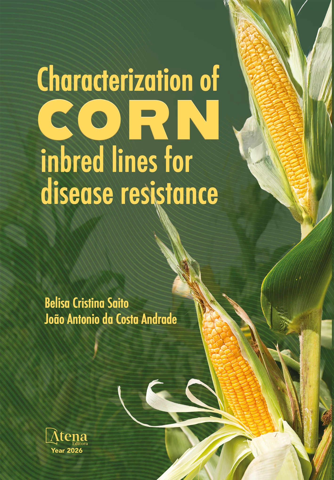 capa do ebook Characterization of corn inbred lines for disease resistance