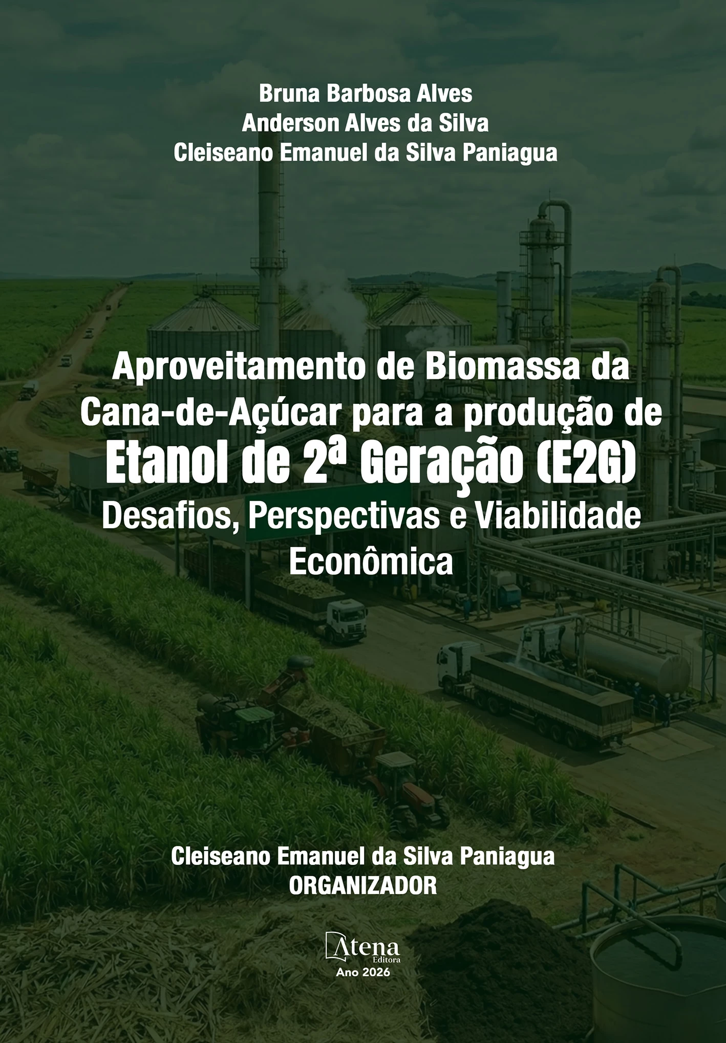 capa do ebook Aproveitamento de biomassa da cana-de-açúcar para a produção de etanol de 2ª geração (E2G): desafios, perspectivas e viabilidade econômica