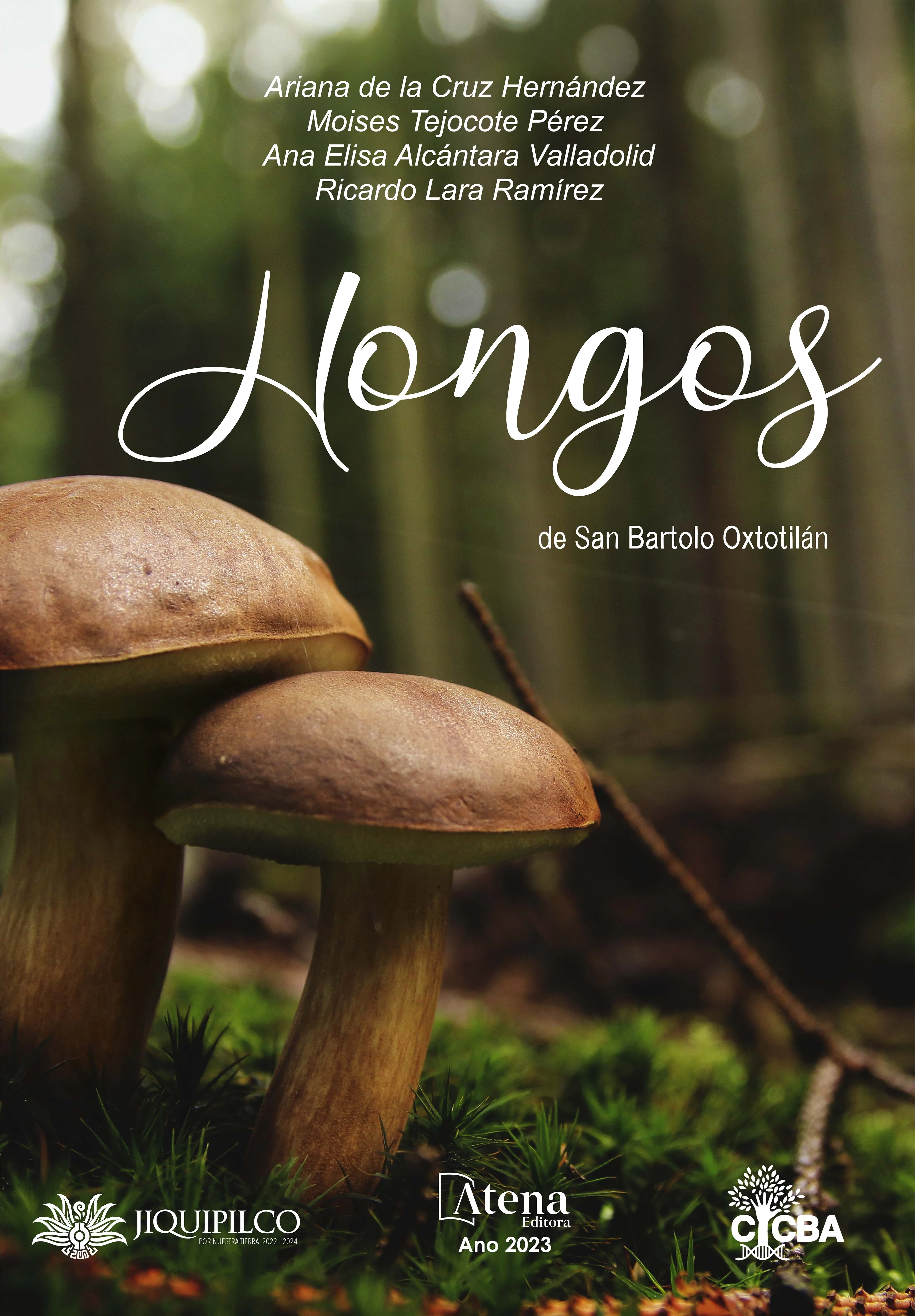 capa do ebook Hongos de San Bartolo Oxtotilán