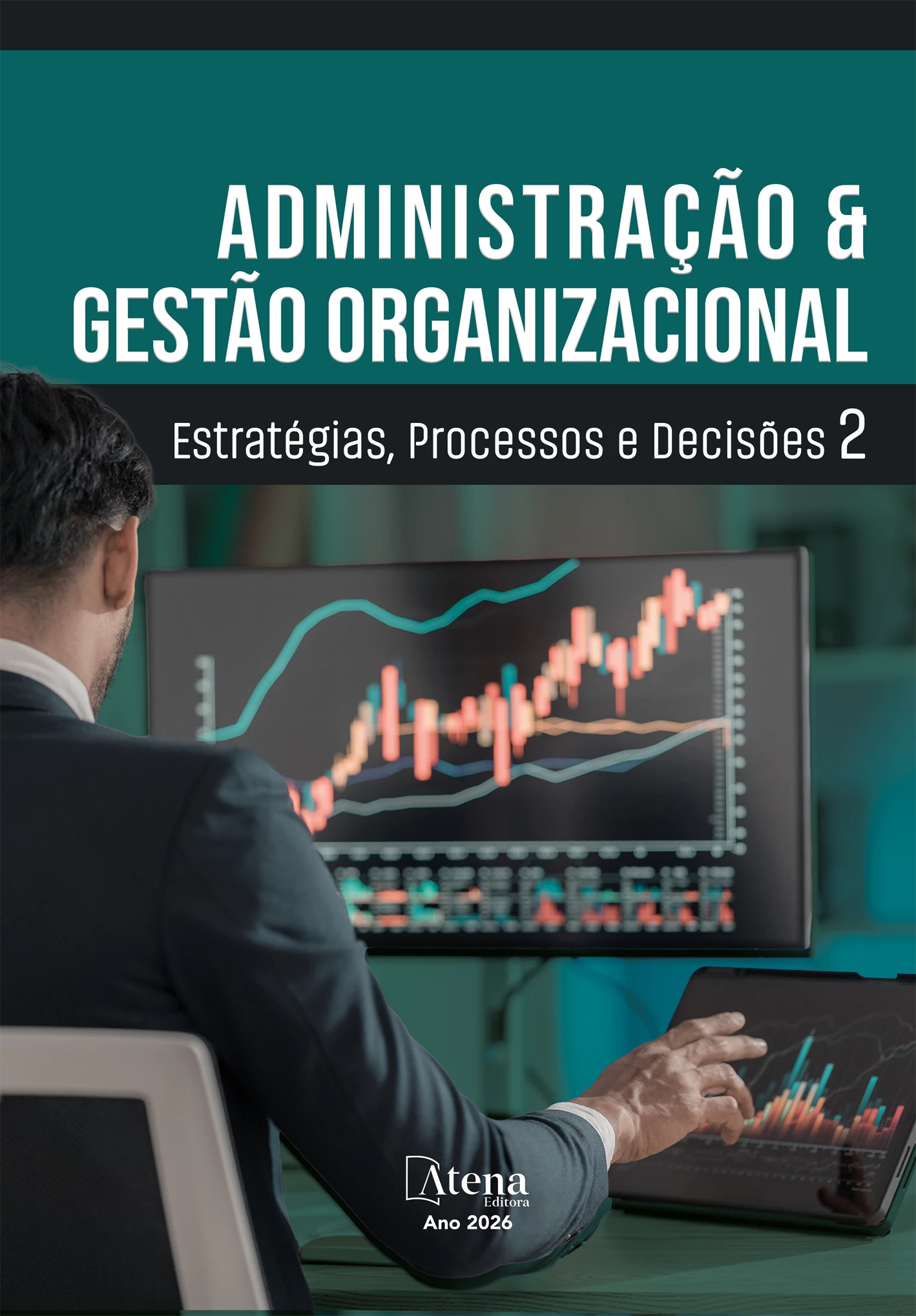 capa do ebook Administração e Gestão Organizacional: Estratégias, Processos e Decisões 2