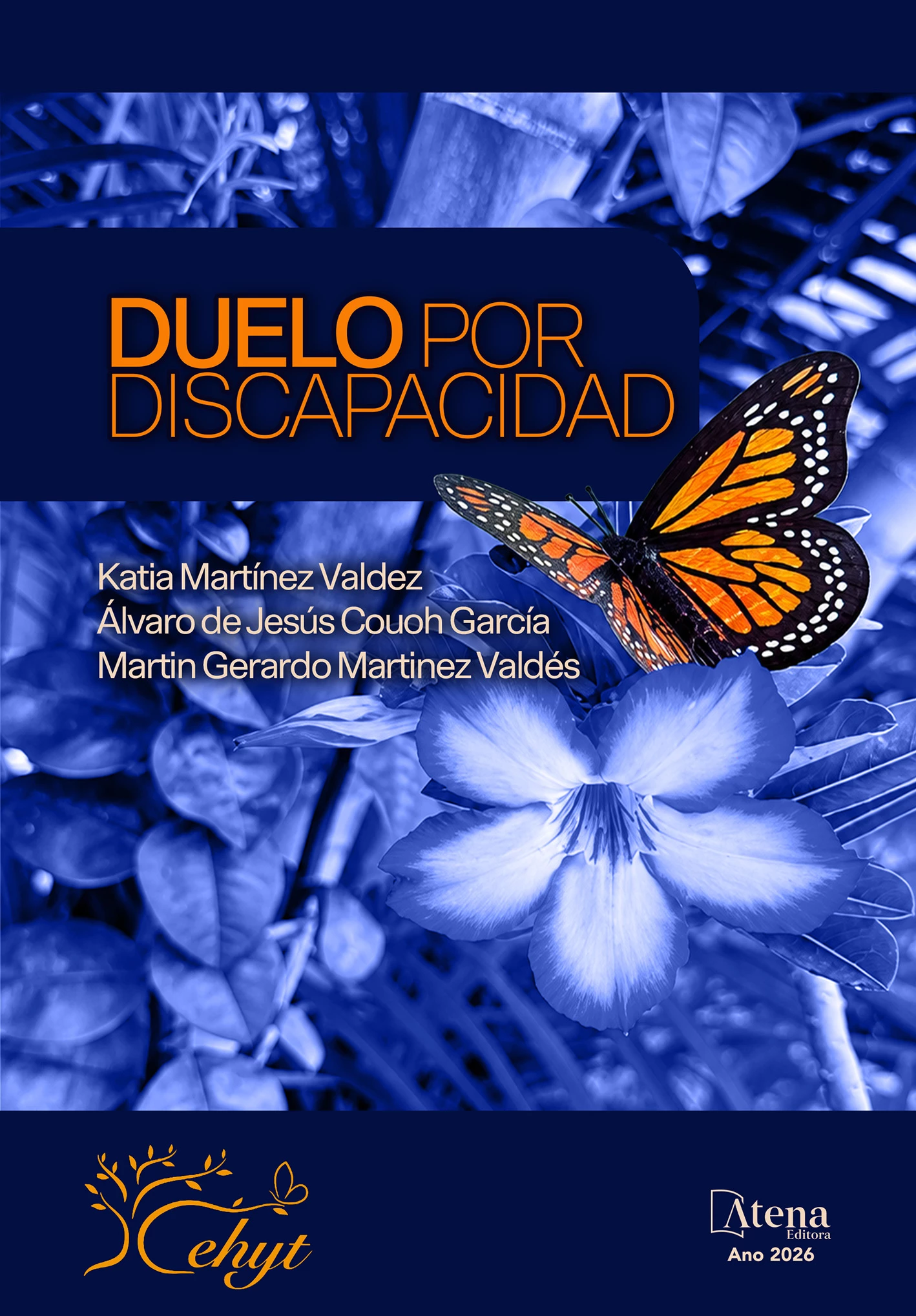 capa do ebook Duelo por discapacidad