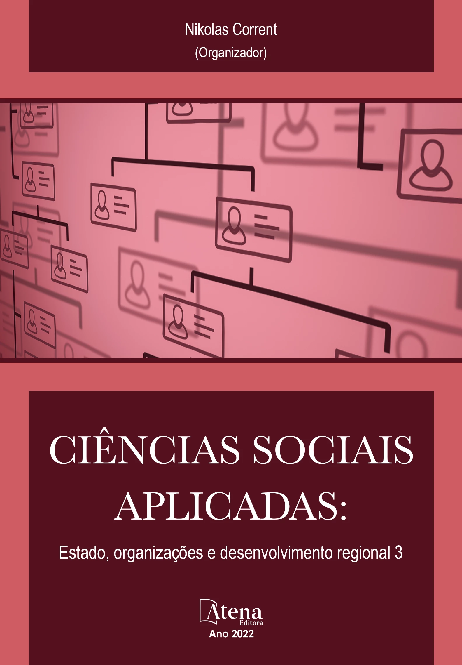 capa do ebook Ciências sociais aplicadas: Estado, organizações e desenvolvimento regional 3