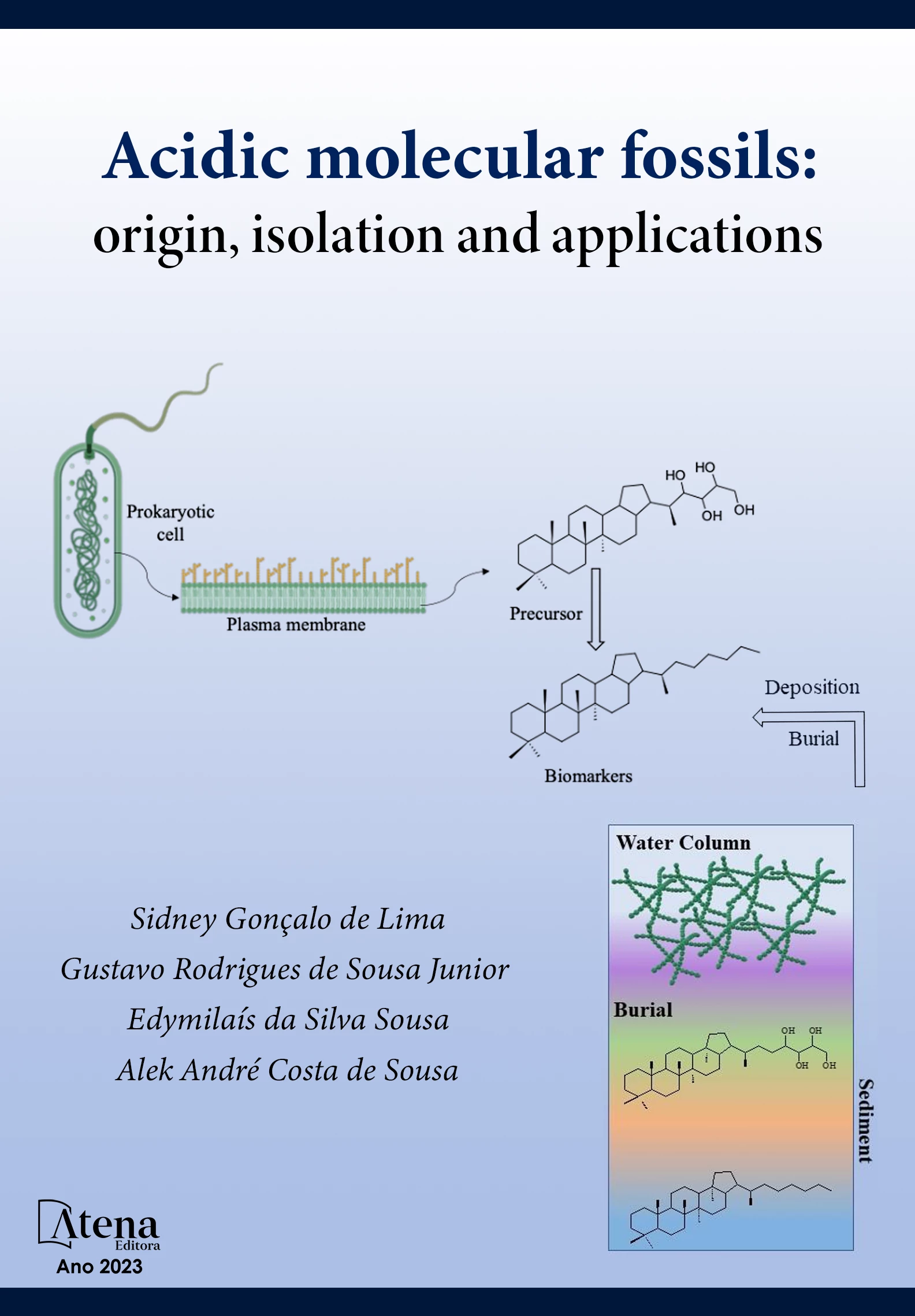 capa do ebook Acidic molecular fossils: origin, isolation and applications