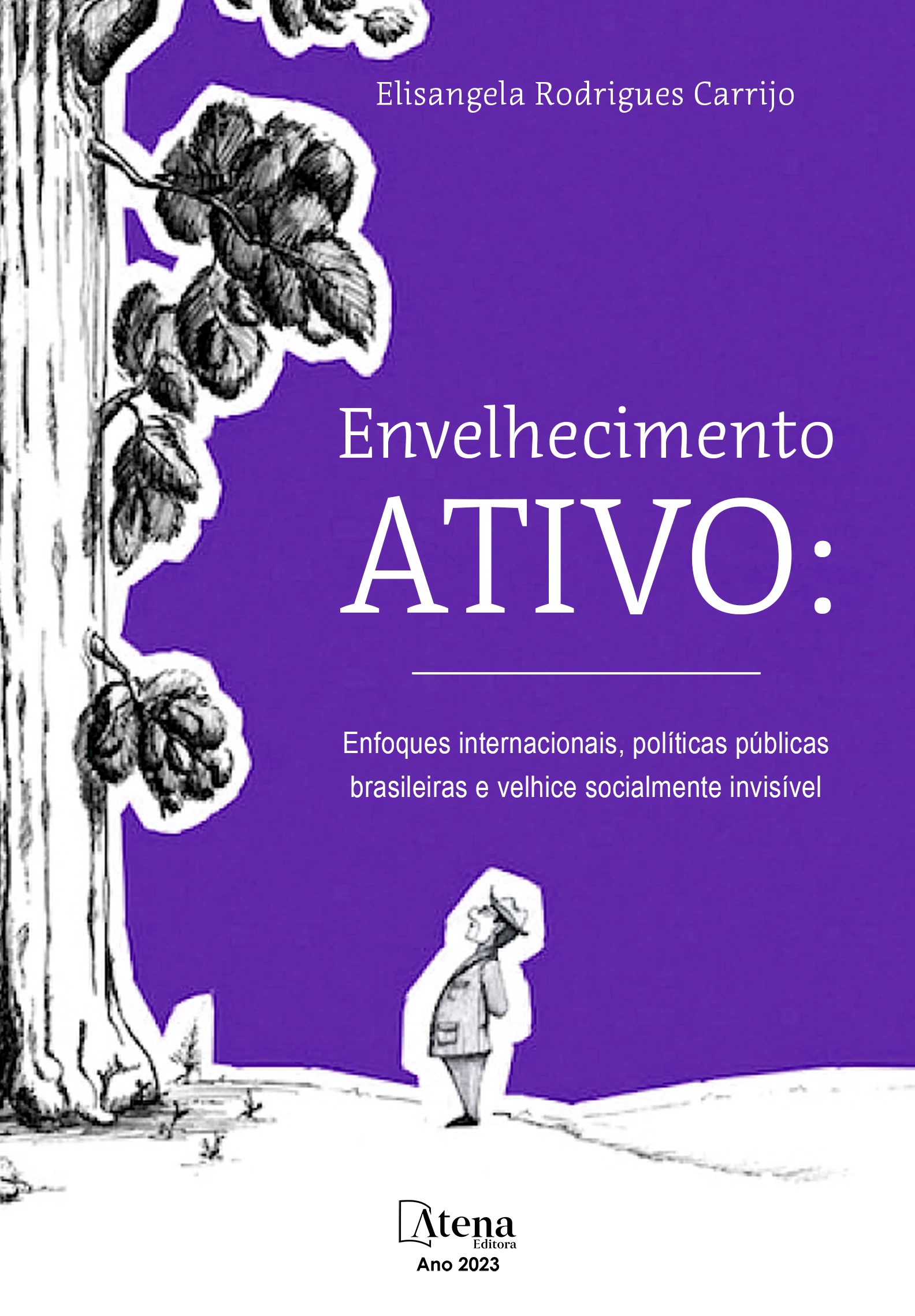 capa do ebook Envelhecimento ativo: enfoques internacionais, políticas públicas brasileiras e velhice socialmente invisível