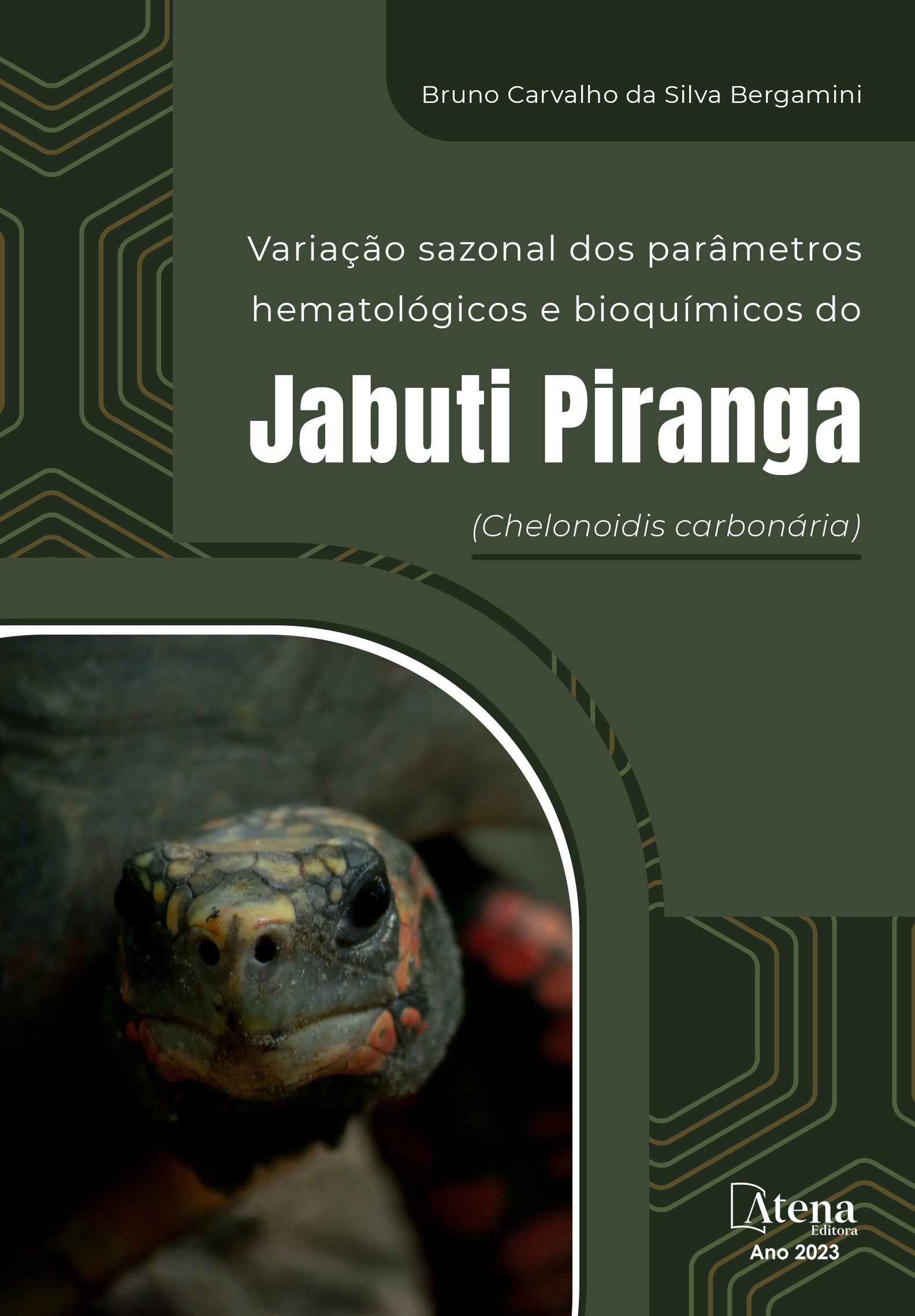 Variação sazonal dos parâmetros hematológicos e bioquímicos do Jabuti Piranga (Chelonoidis carbonária)