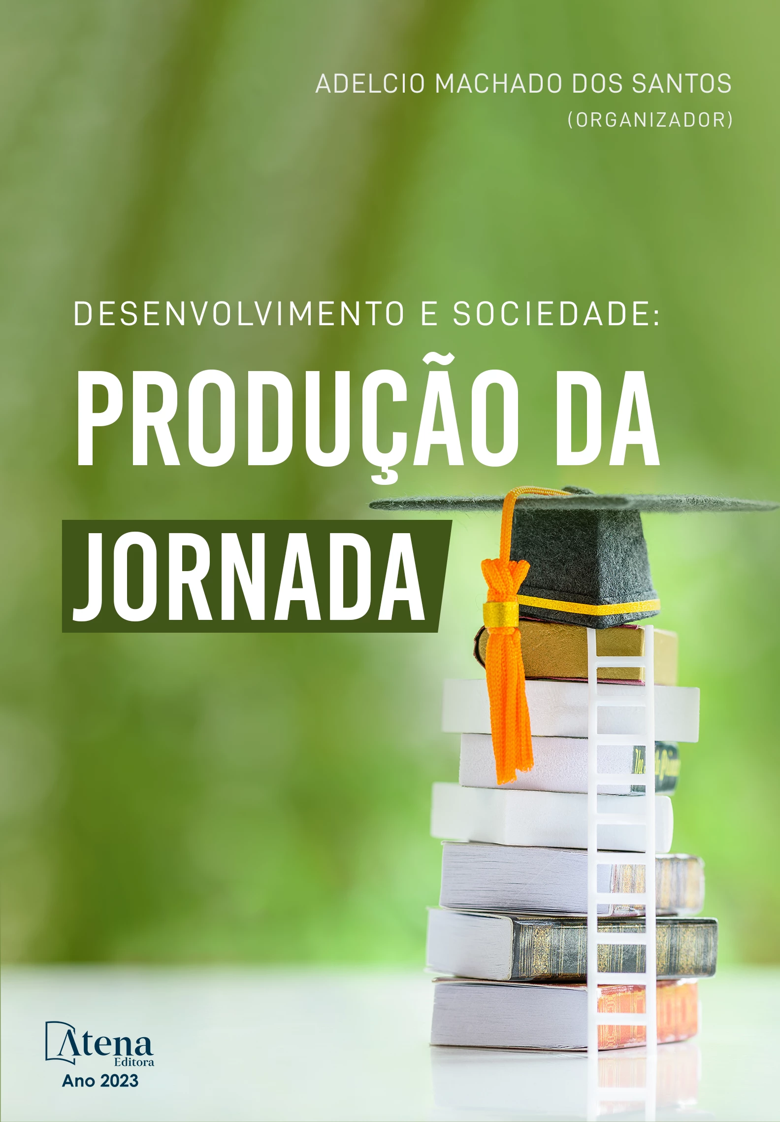 capa do ebook Desenvolvimento e sociedade: produção da jornada