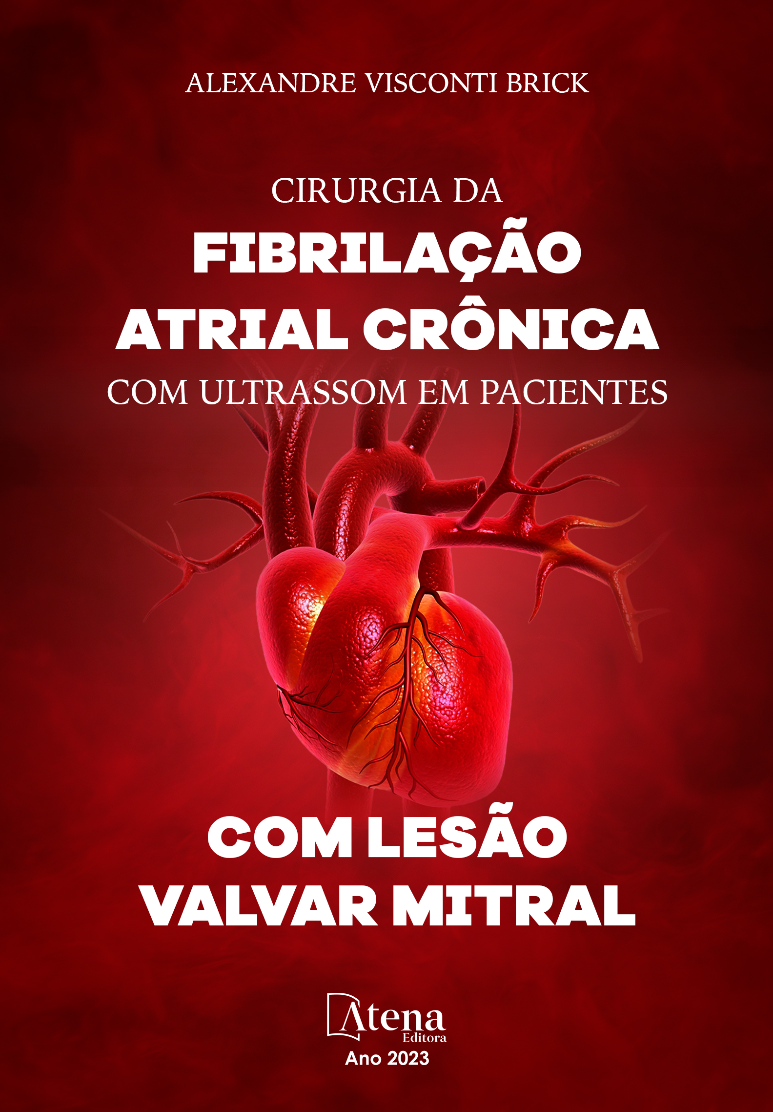 Cirurgia da fibrilação atrial crônica com ultrassom em pacientes com lesão valvar mitral