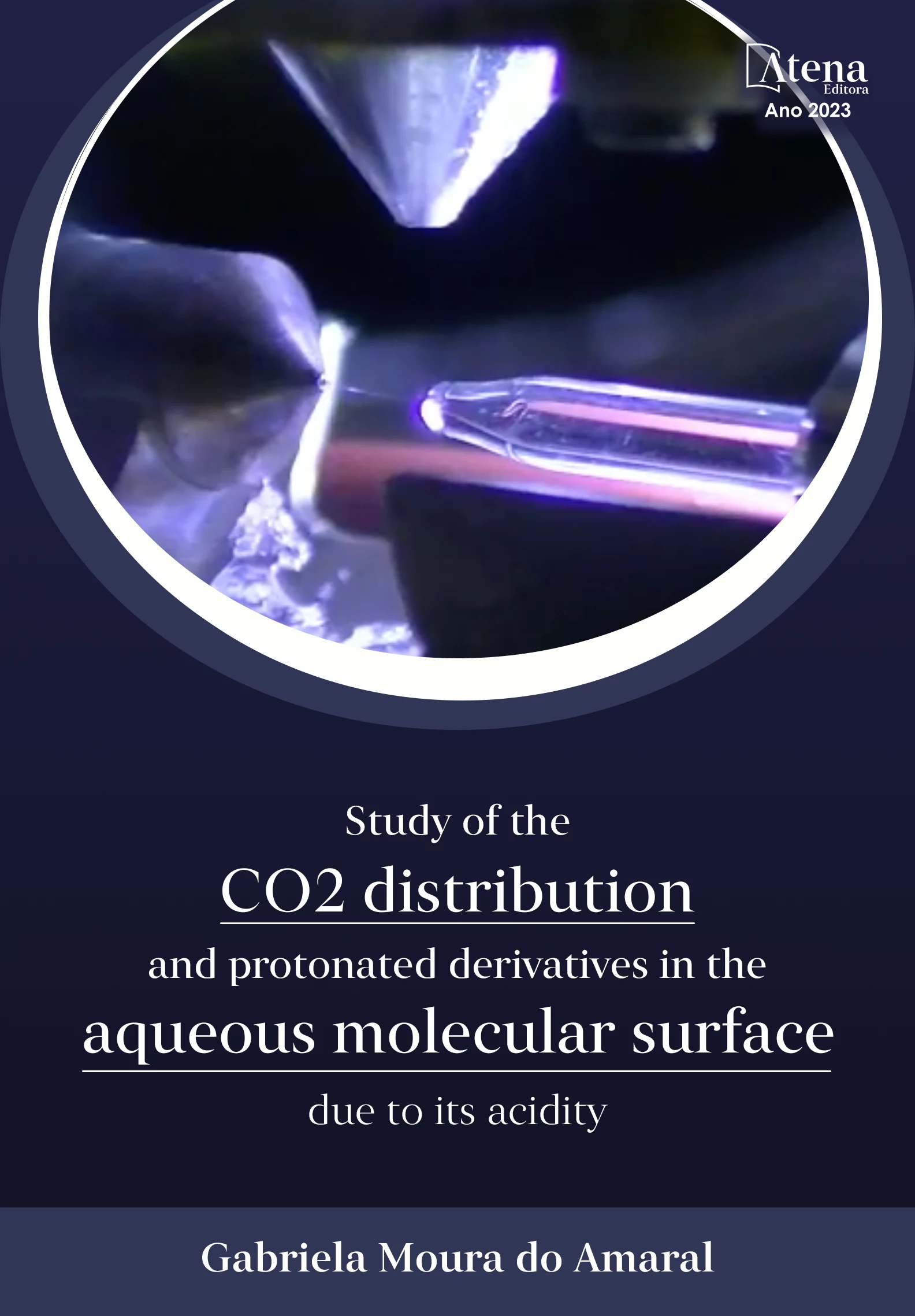 capa do ebook Study of the CO2 distribution and protonated derivatives in the aqueous molecular surface due to its acidity