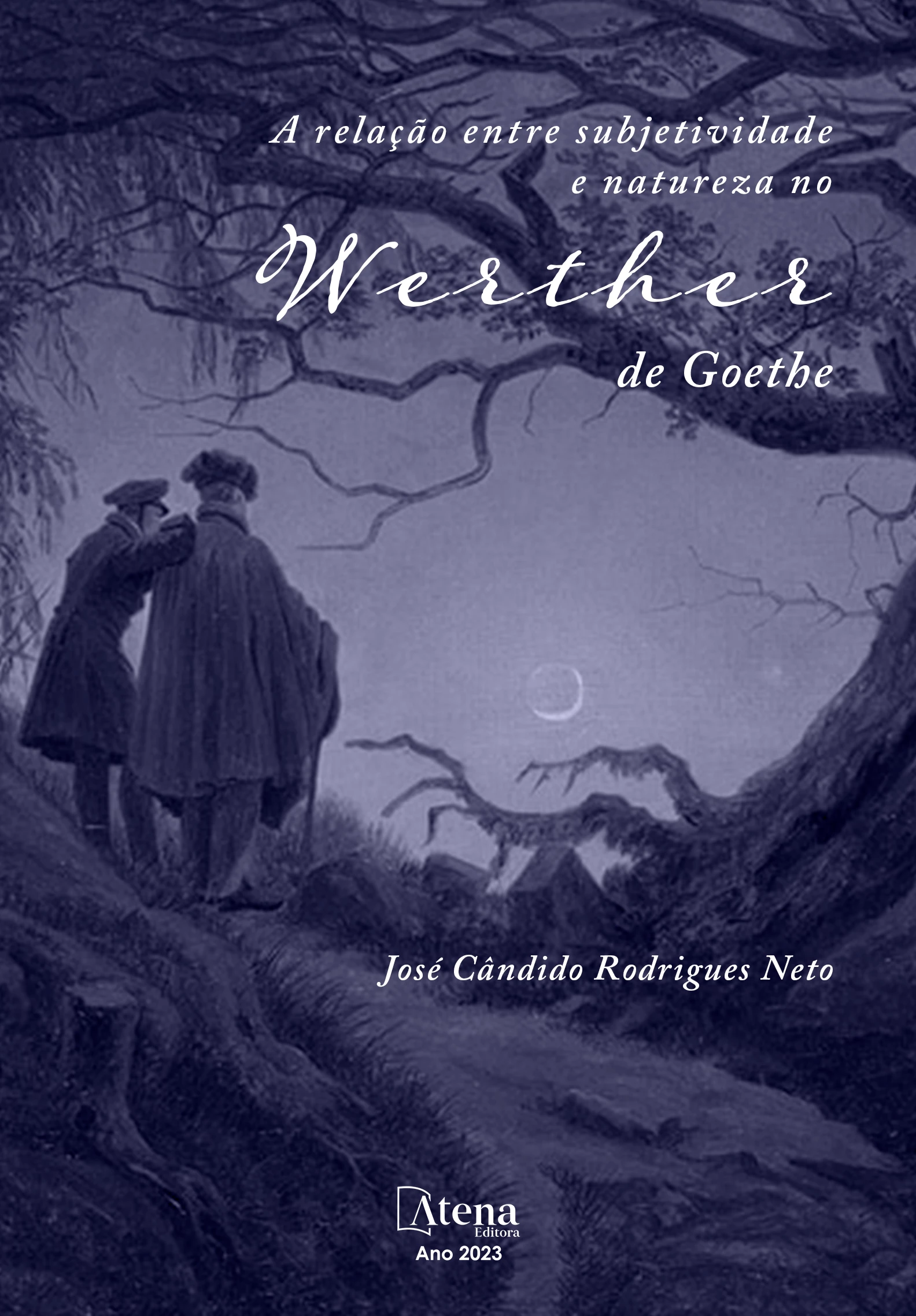 capa do ebook A relação entre subjetividade e natureza no Werther de Goethe