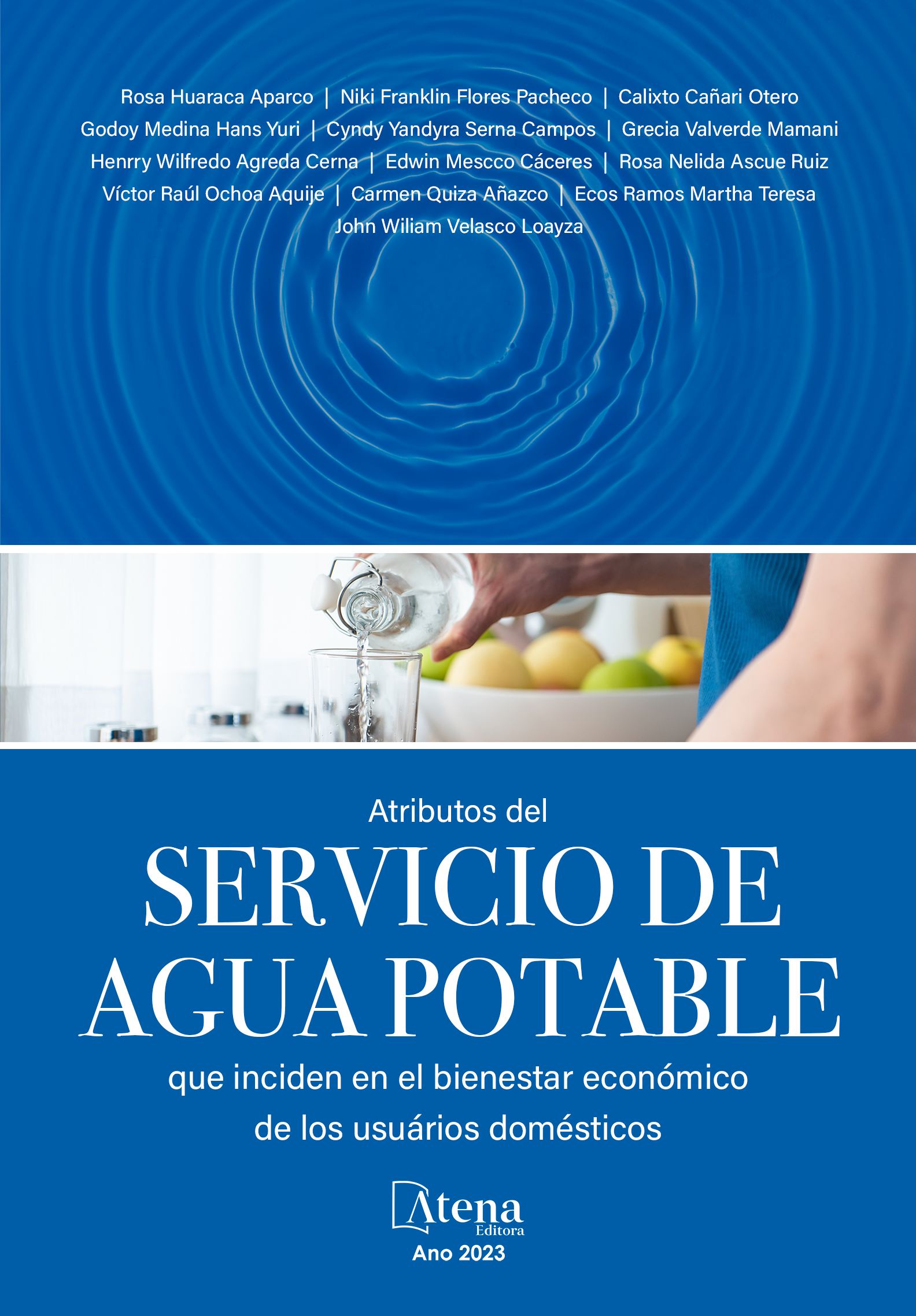 Atributos del servicio de agua potable que inciden en el bienestar económico de los usuarios domésticos