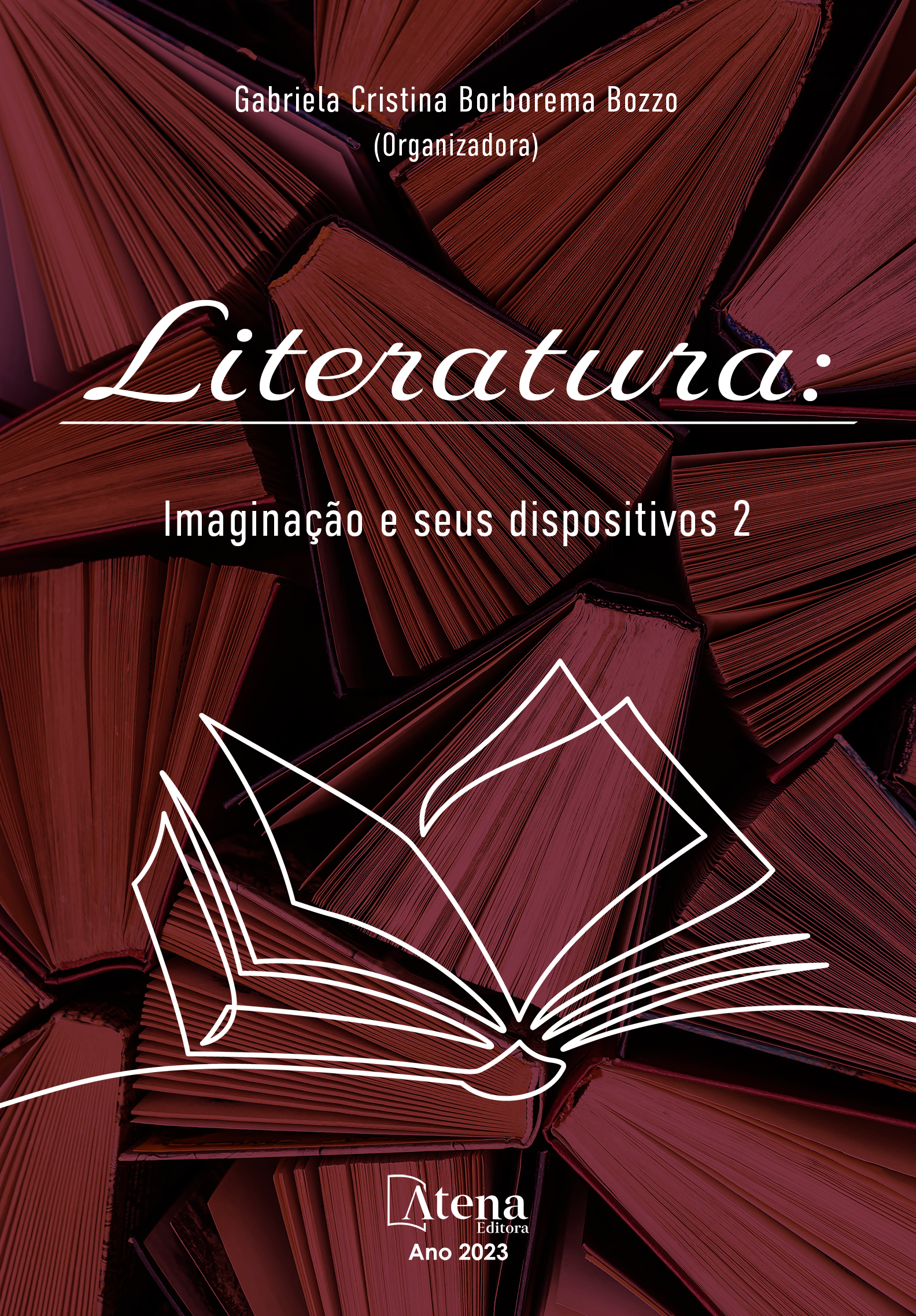 Literatura: Imaginação e seus dispositivos 2