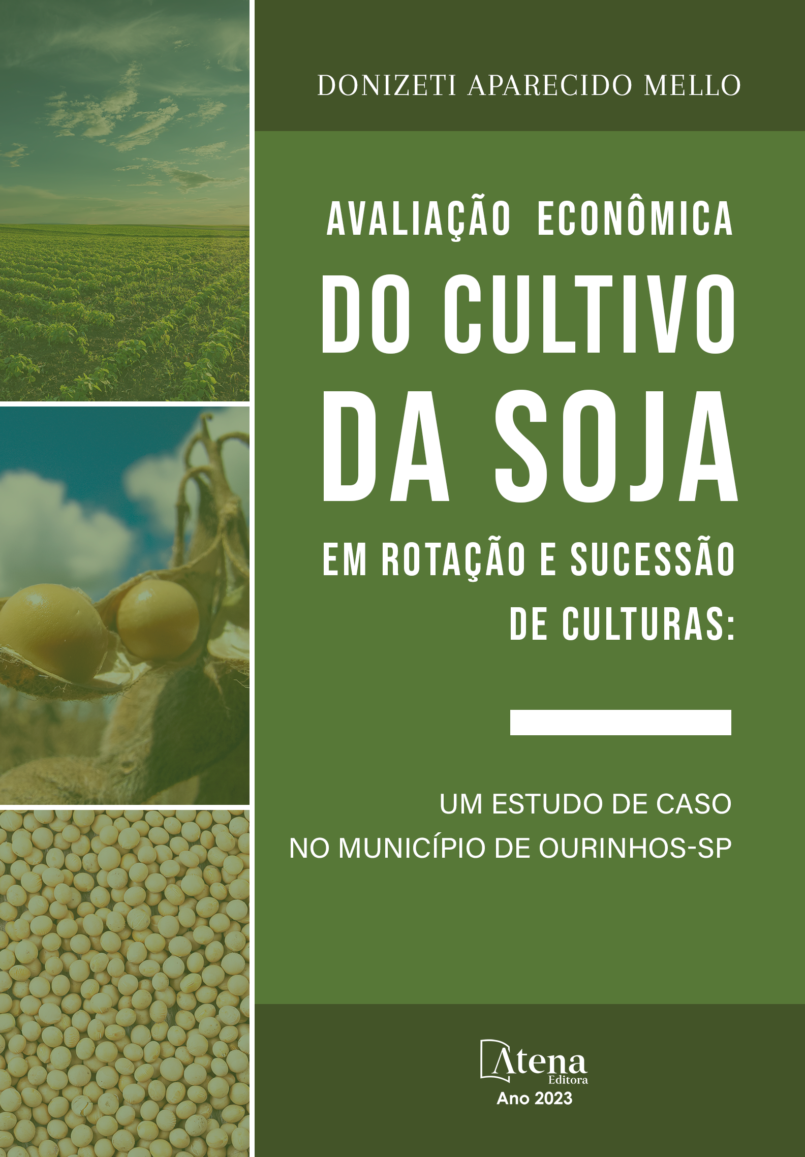 Avaliação econômica do cultivo da soja em rotação e sucessão de culturas: um estudo de caso no município de Ourinhos-SP