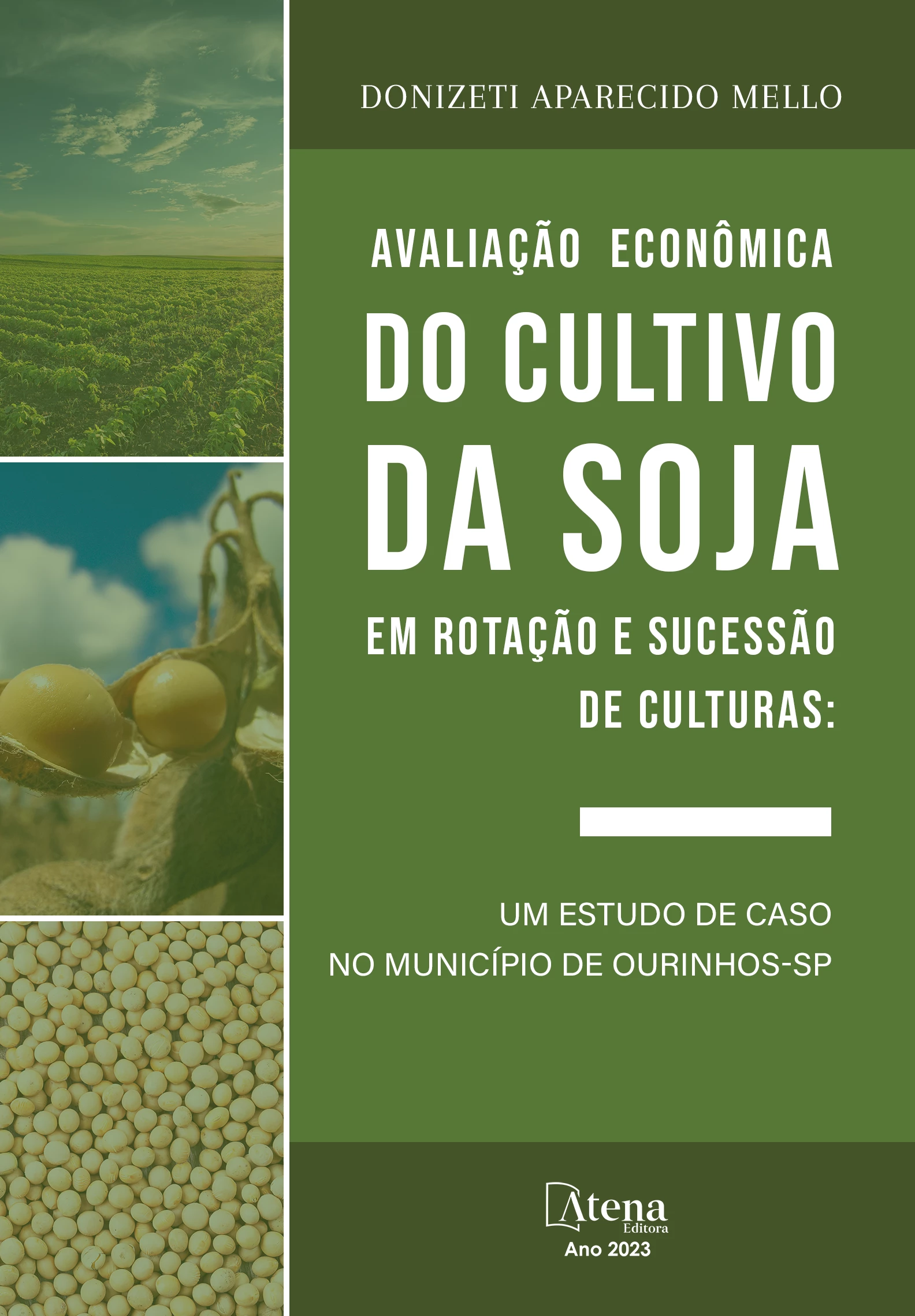 capa do ebook Avaliação econômica do cultivo da soja em rotação e sucessão de culturas: um estudo de caso no município de Ourinhos-SP