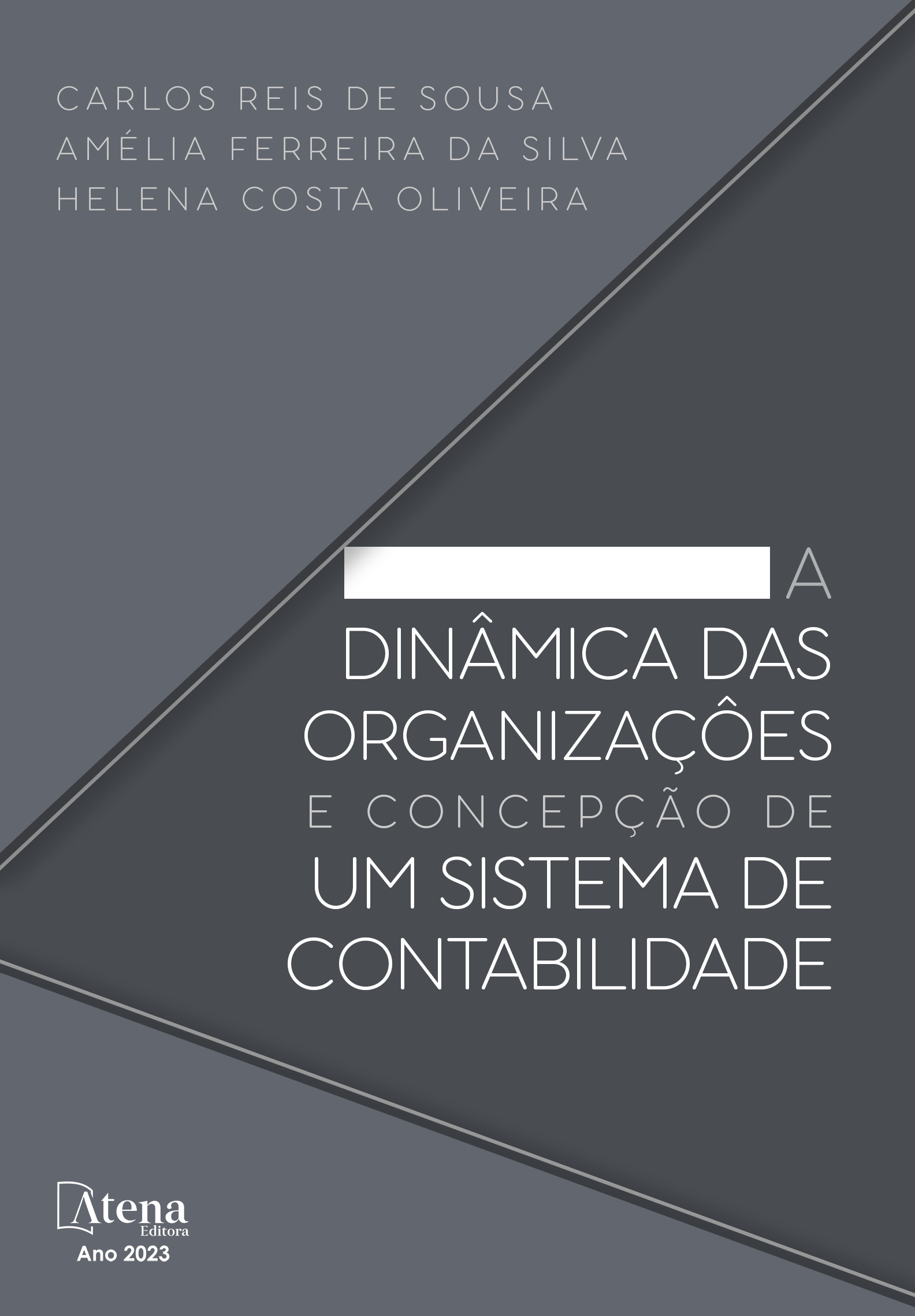 A dinâmica das organizações e concepção de um sistema de contabilidade