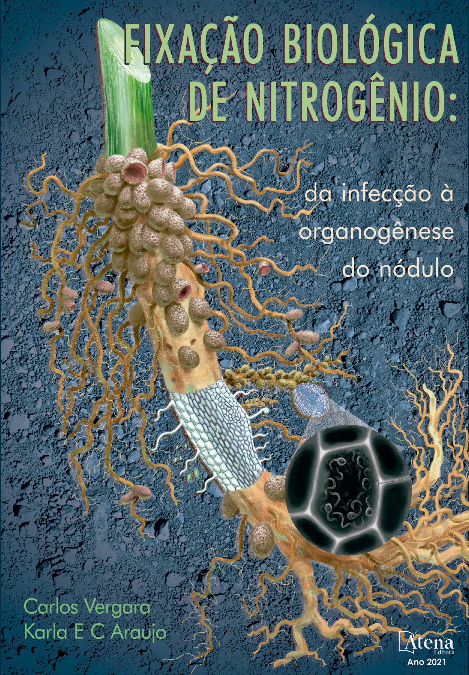 Livros